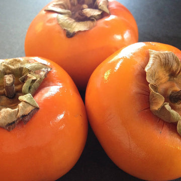 Persimmon Seeds – Japanese