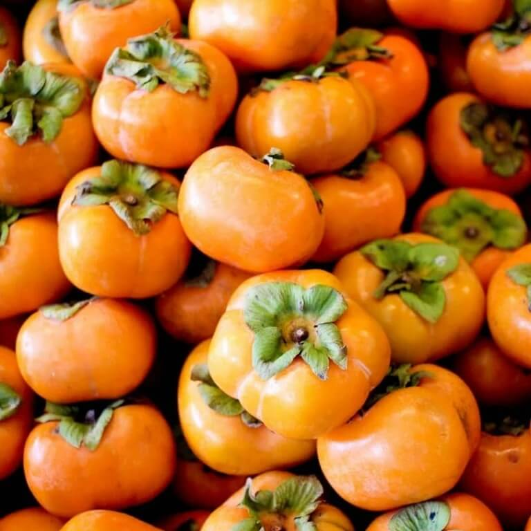 Persimmon Seeds - All In One For Home Gardens