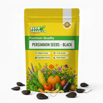 Persimmon Seeds - Black