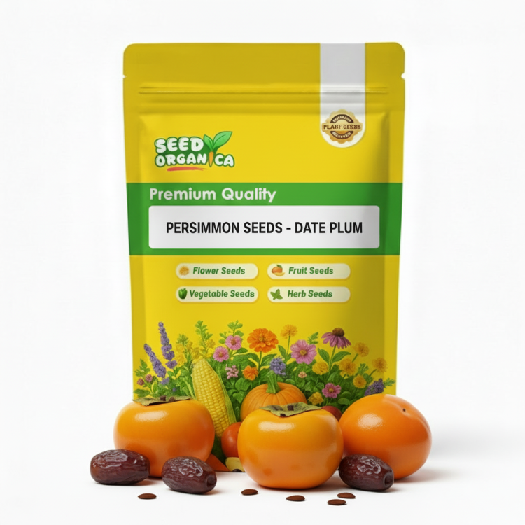 Persimmon Seeds - Date Plum