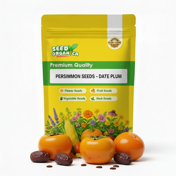 Persimmon Seeds - Date Plum