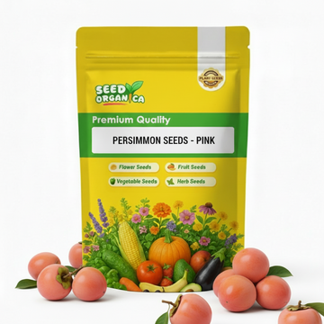 Persimmon Seeds - Pink