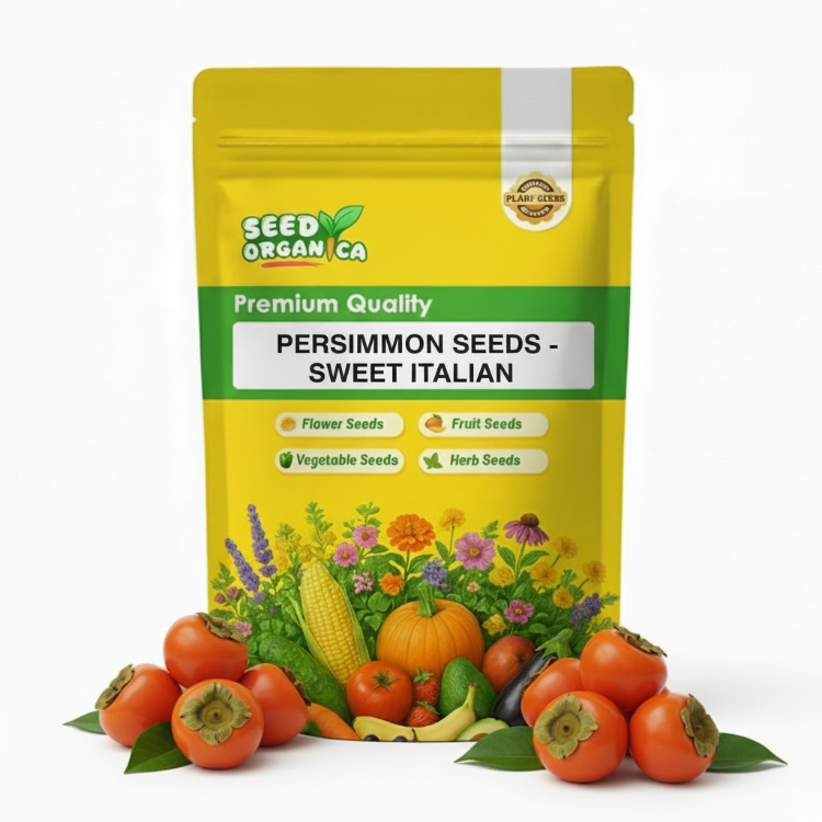 Persimmon Seeds - Sweet Italian