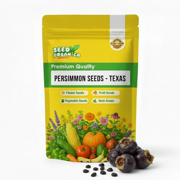 Persimmon Seeds - Texas