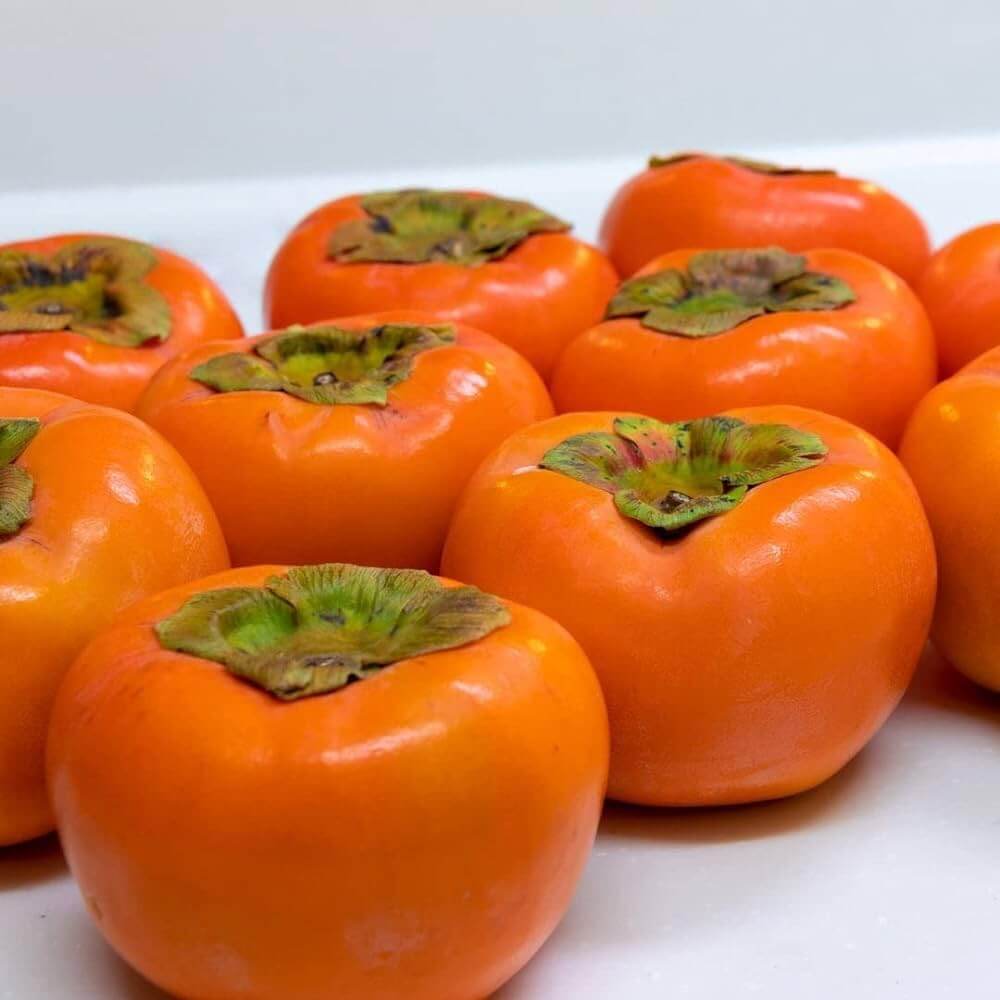Persimmon Seeds – Fuyu