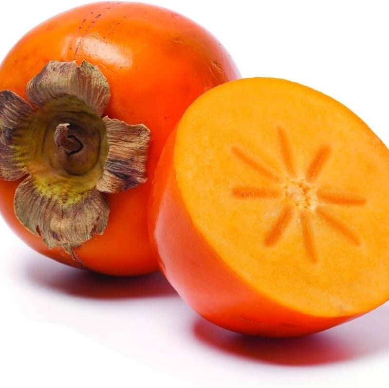 Persimmon Seeds – Fuyu