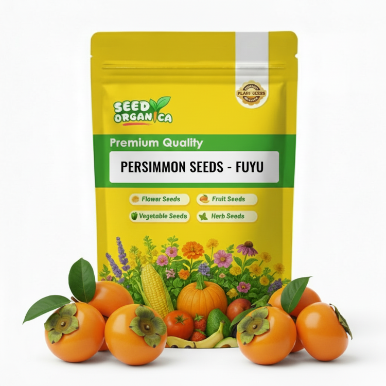 Persimmon Seeds – Fuyu