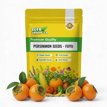 Persimmon Seeds – Fuyu