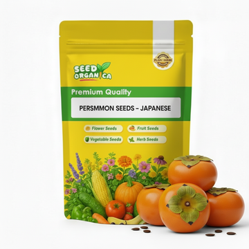 Persimmon Seeds – Japanese