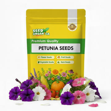 Petunia Seeds