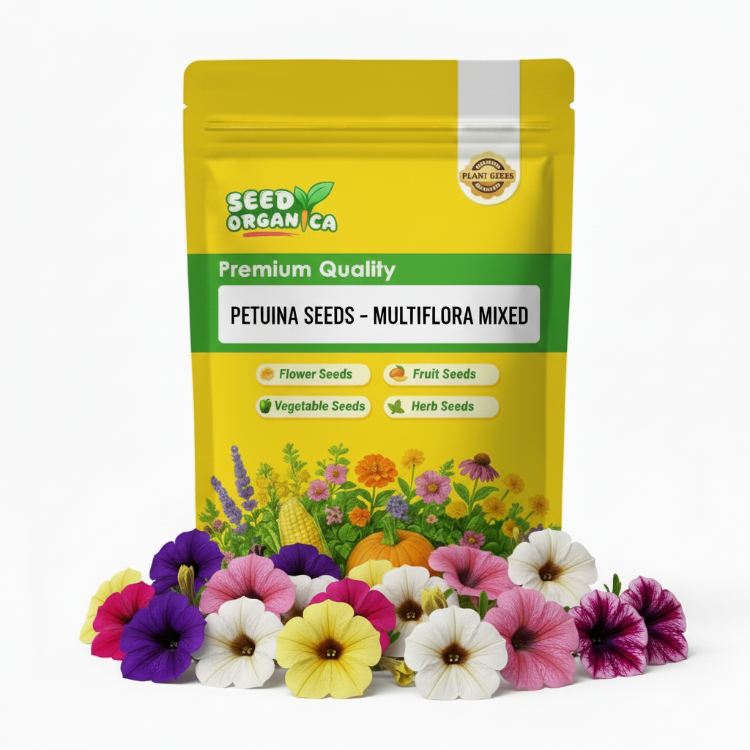 Petunia Seeds - Multiflora Mixed