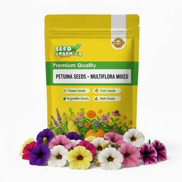 Petunia Seeds - Multiflora Mixed
