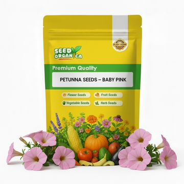 Petunia Seeds – Baby Pink