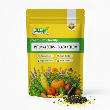 Petunia Seeds – Black Yellow