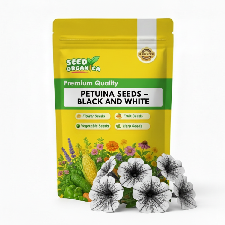 Petunia Seeds – Black and White