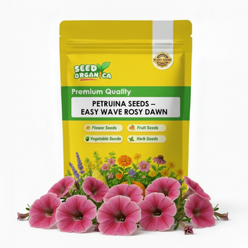 Petunia Seeds – Easy Wave Rosy Dawn