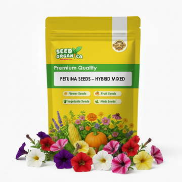 Petunia Seeds – Hybrid Mixed