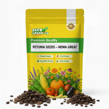 Petunia Seeds – Nema Great