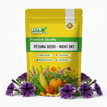 Petunia Seeds – Night Sky
