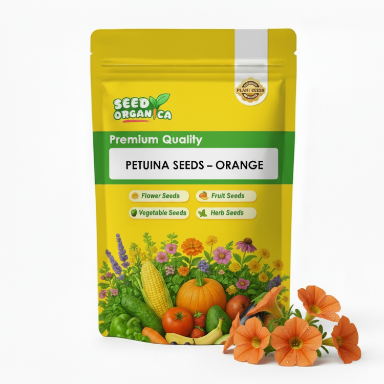 Petunia Seeds – Orange