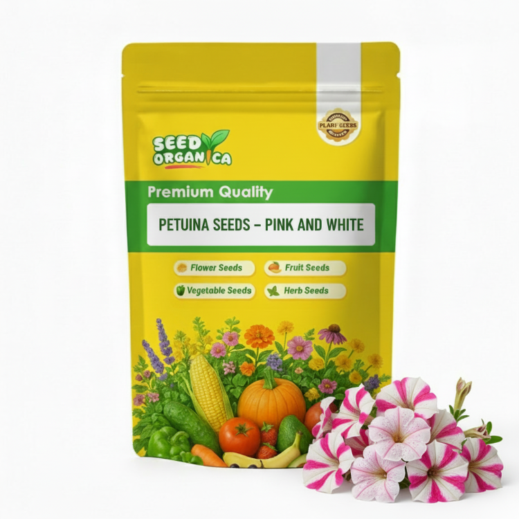 Petunia Seeds – Pink and White