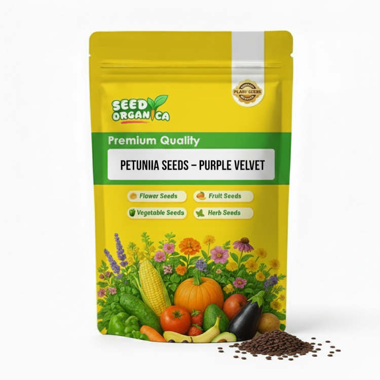 Petunia Seeds – Purple Velvet