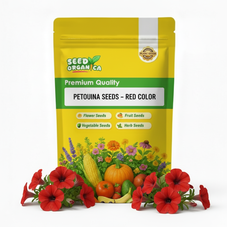 Petunia Seeds – Red Color