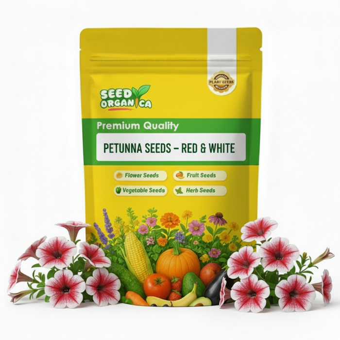 Petunia Seeds – Red & White