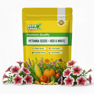Petunia Seeds – Red & White