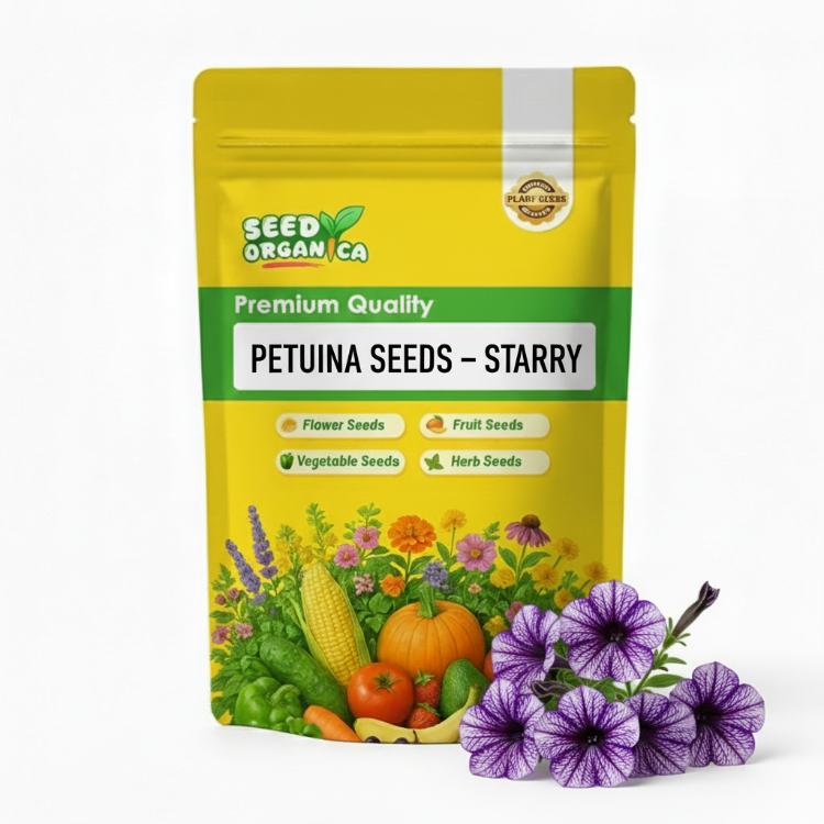 Petunia Seeds – Starry