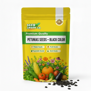 Petunias Seeds – Black Color