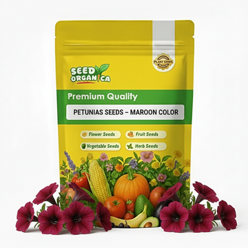 Petunias Seeds – Maroon Color