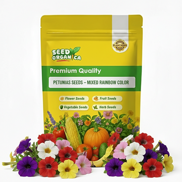 Petunias Seeds – Mixed Rainbow Color