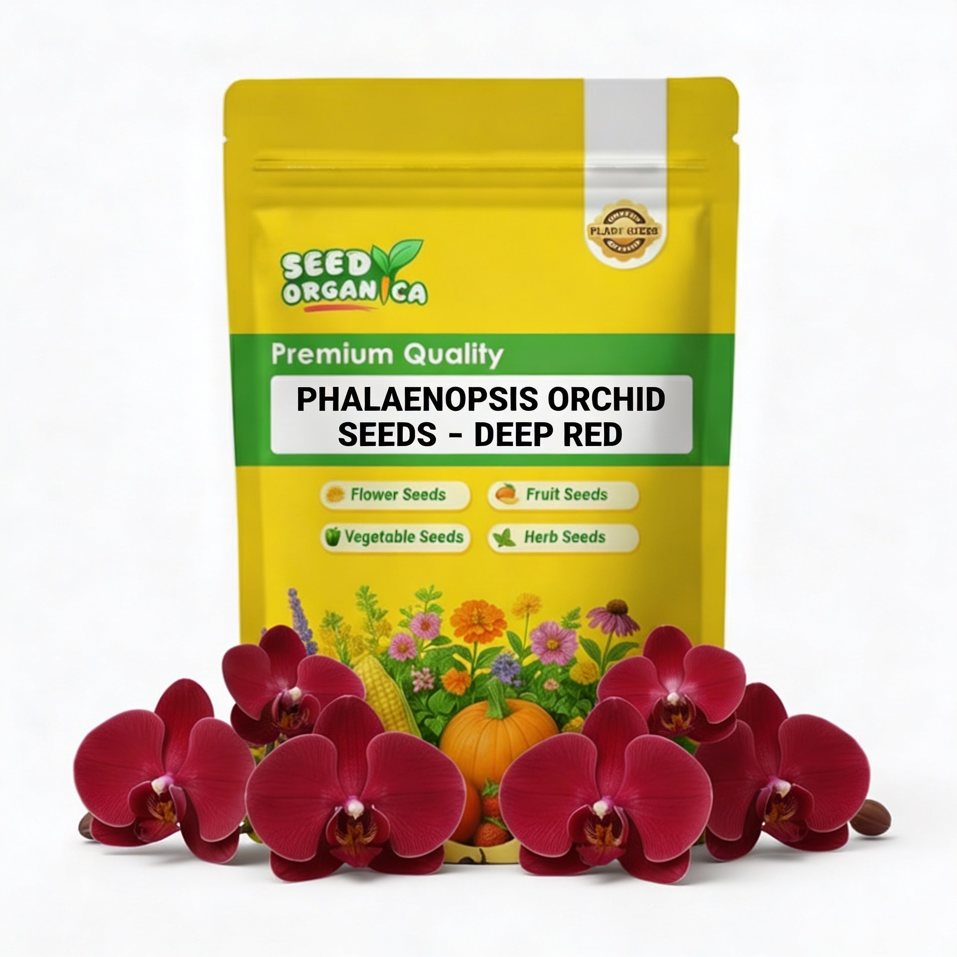Phalaenopsis Orchid Seeds – Deep Red