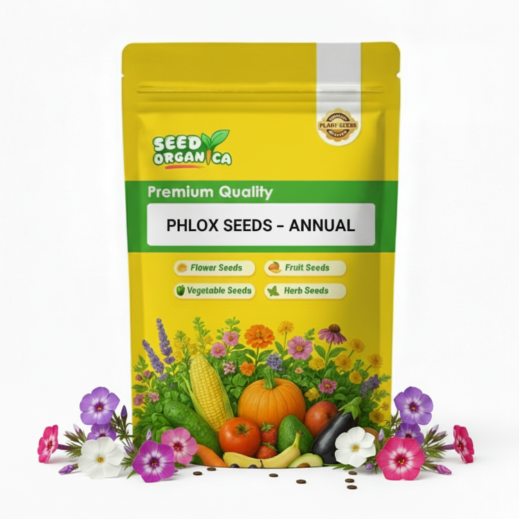 Phlox Seeds – Annual