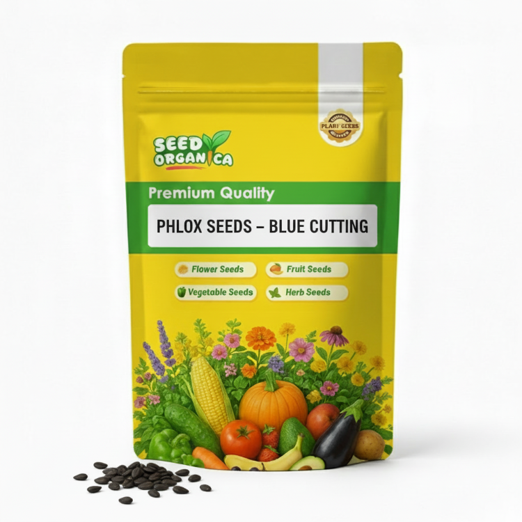 Phlox Seeds – Blue Cutting