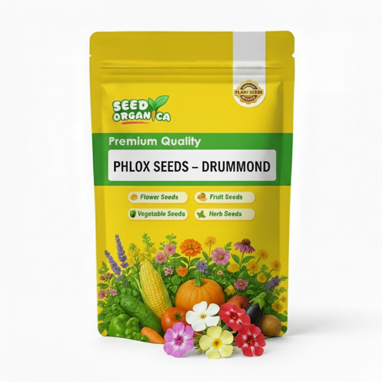 Phlox Seeds – Drummond
