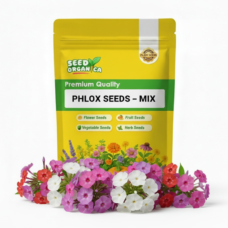 Phlox Seeds – Mix