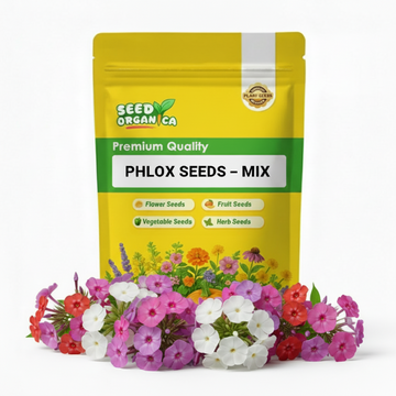 Phlox Seeds – Mix