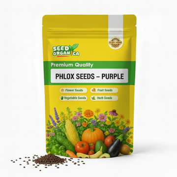 Phlox Seeds – Purple