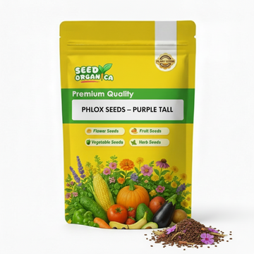 Phlox Seeds – Purple Tall