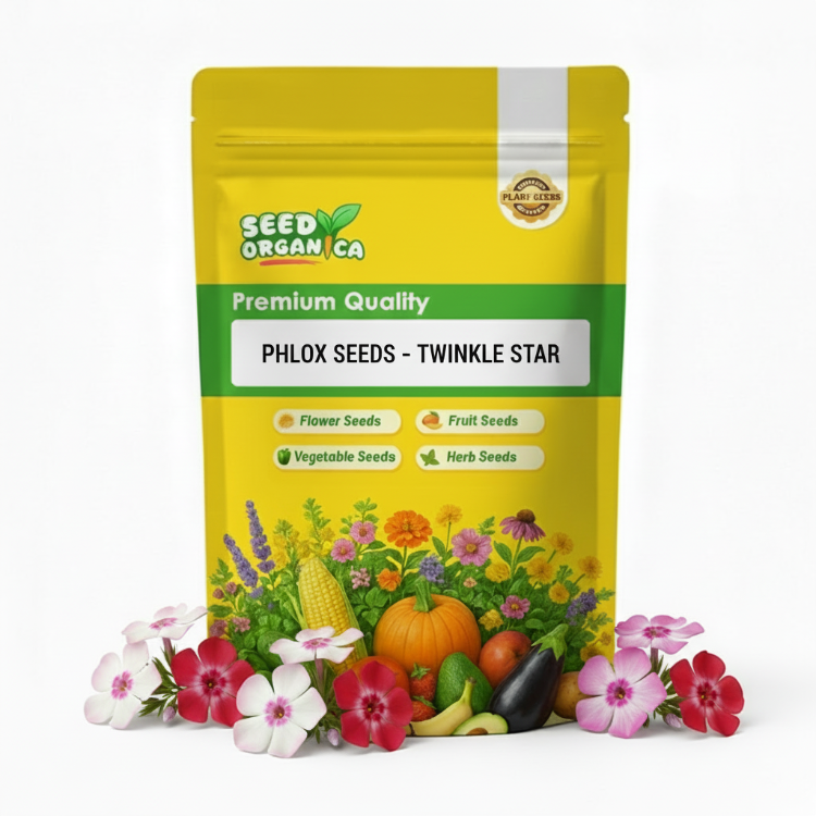 Phlox Seeds – Twinkle Star