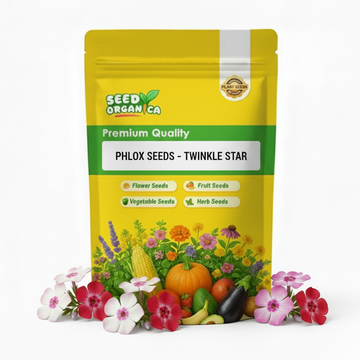 Phlox Seeds – Twinkle Star