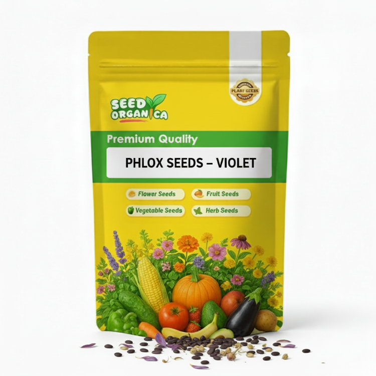Phlox Seeds – Violet