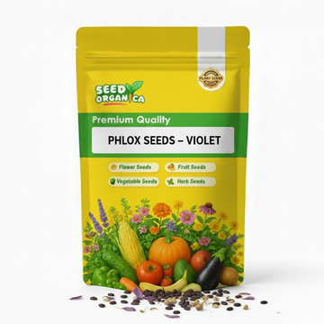 Phlox Seeds – Violet