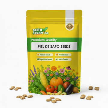 Piel de Sapo Seeds