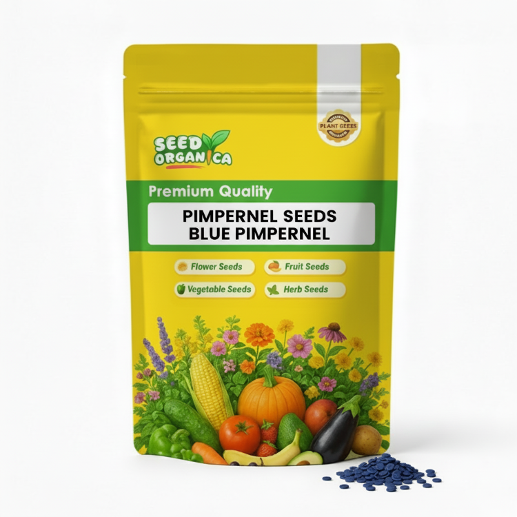 Pimpernel Seeds Blue Pimpernel