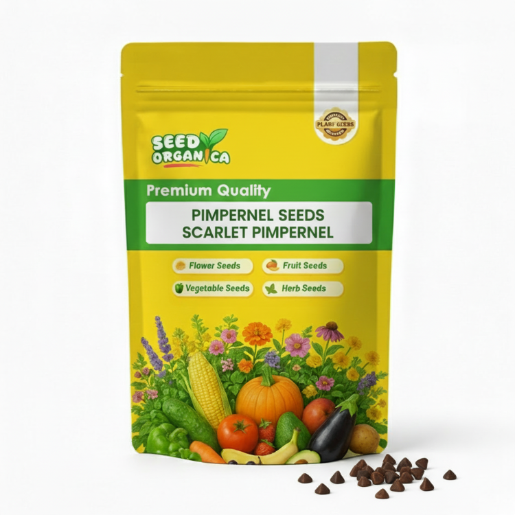 Pimpernel Seeds Scarlet Pimpernel
