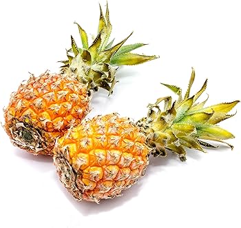 Pineapple Seeds – Orange