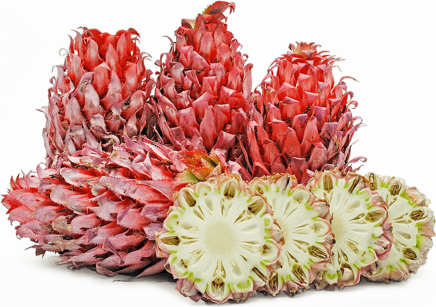 Pineapple Seeds – Red